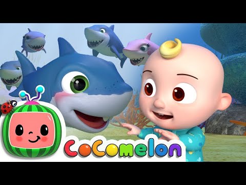 Baby Shark  @CoComelon Nursery Rhymes & Kids Songs