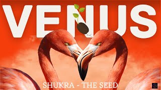 Planet VENUS in Astrology - Shukra (THE SEED)