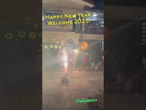 Happy New Year #welcome2025  #happy newyear  #fireworks  #celebration #yearofthesnake