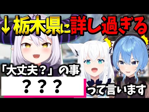 ラプ様が詳し過ぎて栃木県民かと疑いの目を向けるすいちゃんとフブちゃん【ホロライブ切り抜き/ラプラス・ダークネス/星街すいせい/白上フブキ】