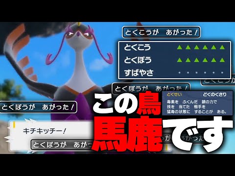 新ポケモン「キチキギス」のタイプ当てれたやつ絶対いない【ゼロの秘宝 碧の仮面】【ポケモンSV】