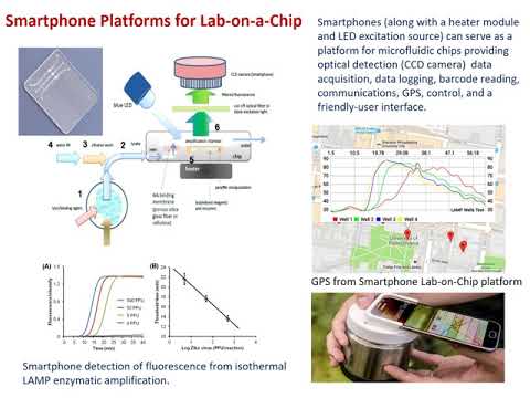 "Microfluidic Lab on a Chip Molecular Assays for Food Safety" - Michael G Mauk