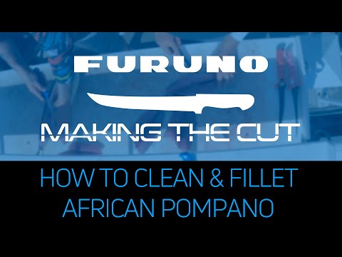 Making the Cut: How to Clean and Fillet an African Pompano