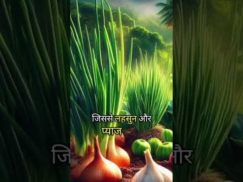 कहानी लहसून प्याज की #shortvideo #story #devotional #god #bhagwan #shorts