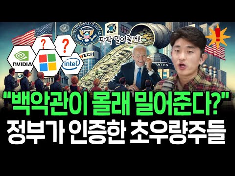 AI전쟁 필승을 위해 미국 정부가 밀어주는 우량주 12선