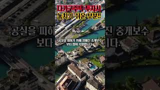 다가구 주택 투자시 놓치기 쉬운 부분!!/다가구주택/농지연금/산지연금/재테크/경매/부동산/재개발/재건축