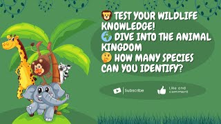 Animal Quiz 1