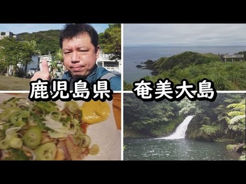 【鹿児島県奄美大島】45歳おっさんひとり旅。激うまトリ刺しに大満足しつつまた豪雨に合いズブ濡れに迷子。ハートロックも残念だけど宮古崎は綺麗だった2泊3日間の旅。