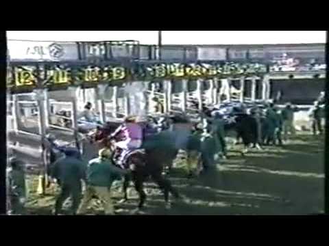 1996年　有馬記念　サクラローレル.mp4