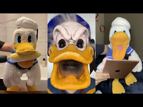 The Most Viewed Donald Ducc Shorts 2024 | New Donald Ducc Funny TikToks and Shorts