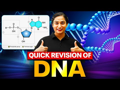 DNA - Quick Revision in 37 Minutes | Class 12th BOTANY | PhysicsWallah