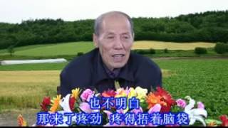 刘善人讲病（4小时完整版）