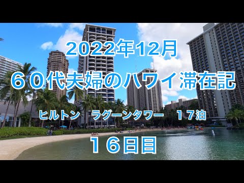 2022年12月ハワイ 16日目　ヒルトンハワイアンビレッジ内一周、シナモンズ、ピンクトロリーでワイキキ一周