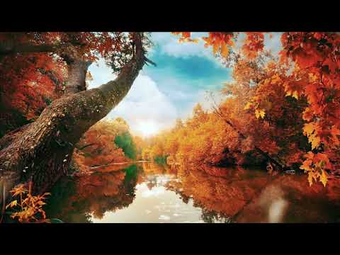 🔴 Stress Relief Music: Let Go Of Tension And Anxiety Release Tension Music (Nature Quest)