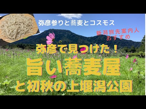 弥彦で見つけた旨い😋蕎麦屋　そば処　大門　コスモスが咲く上堰潟公園