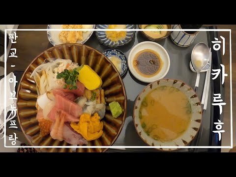 [맛집 Vlog 브이로그] 판교 아브뉴프랑에 괜찮은 카이센동 집이 있어서 소개해요 ^^ - 히카루후 리뷰