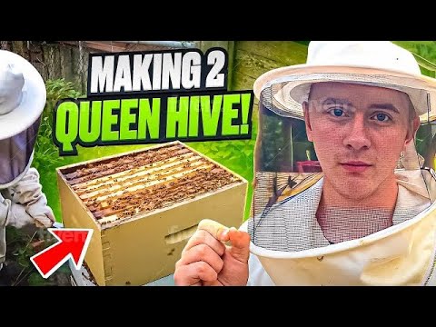 Beekeeping short compilation