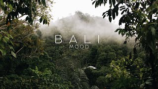 Best tropical Bali mood music 🌴 | Best for Relax and Chill 🌿