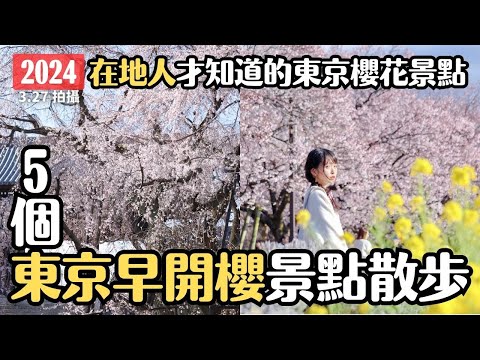 東京櫻花2024🌸 5個東京早開櫻寶藏地 以後染井吉野櫻晚開也不怕沒有地方去｜汐入公園陽光櫻 上野公園枝垂櫻 新宿御苑早開櫻 東鄉寺枝垂櫻 蘆花恆春園高遠小彼岸櫻｜日本賞櫻 4K VLOG