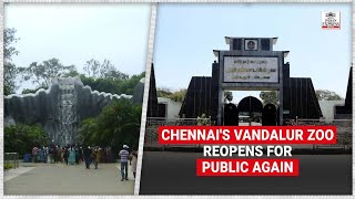 COVID: Chennai's Vandalur Zoo reopens for public again