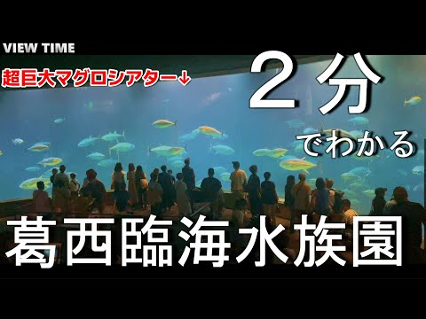 【一見の価値あり】葛西臨海水族園（東京/雨の日/おでかけ/マグロ/水族館/料金/見どころ）