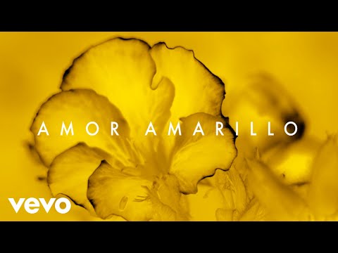 Gustavo Cerati - Amor Amarillo (Official Visualizer)