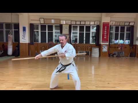 Kihon Kata 2 segment explained #karate #okinawa #空手 #沖縄 #信武舘 #古武道 #shimbukan #kobudo