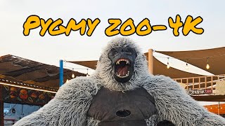 UAE PYGMY ZOO AJMAN. ONE OF THE BEST KIDS FRIENDLY ZOO IN UAE.