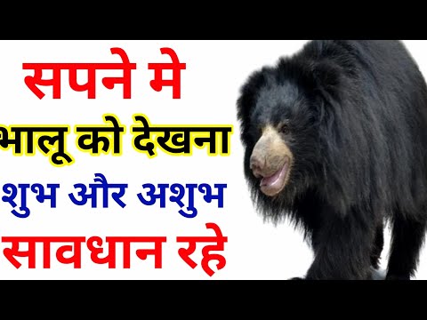 सपने मे भालू को देखने का मतलब । Sapne Me Bhalu Ko Dekhna | Seeing Bear In Dreams