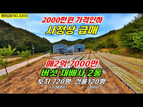 (아쉽지만 2000만원 가격인하)버섯 재배사 2동 매매 급매물. 토지 720평(2,380㎡) 건물 120평(396㎡)충남 공주부동산 행운집땅부동산TV