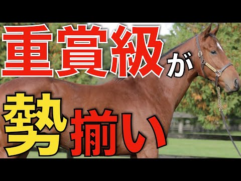 これは競馬ファンにとってはたまらない！とある大会に重賞馬が集結。