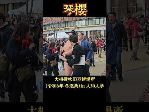 琴櫻関、お疲れ様❗ 大相撲 吹田万博場所(冬巡業) in 大和大学 SUMO