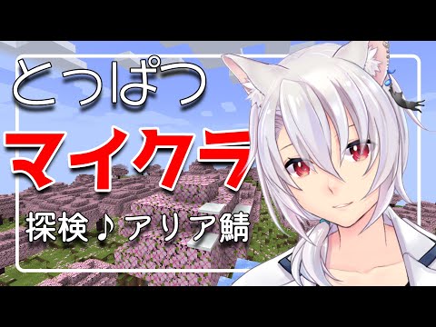 【マイクラ】とっぱつ探険♪アリア鯖【銀音 / 個人勢Vtuber】