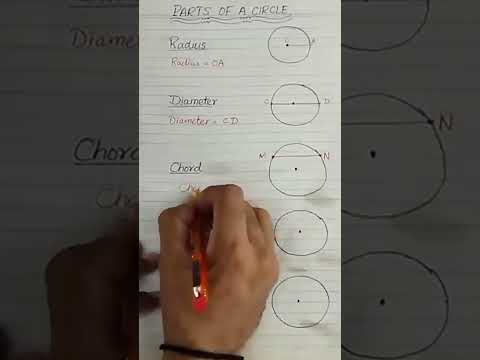 Circle | Parts of a circle | Radius | Diameter | Chord | Sector #Segment #radius #circle #maths #yt