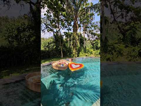 혼자 간 발리 허니문 숙소 수영장 너무 깊음ㅋㅋㅋㅋㅋ Bali Honeymoon accommodation