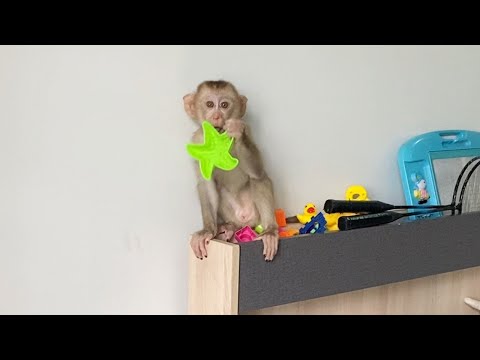 Small Cute baby Boy play toys in home