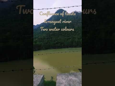 confluence of Teesta &rangeet river#youtubeshorts #shortsvideo #geography #river