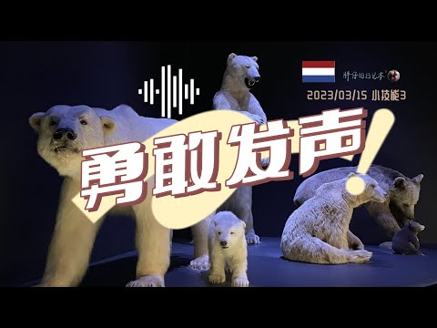 小技能3-荷兰语字母表发音，一起来跟着课本乱乱念？ | Pronunciation of the Dutch alphabet | 胖仔的荷兰日记 Pangzai's diary 20230315