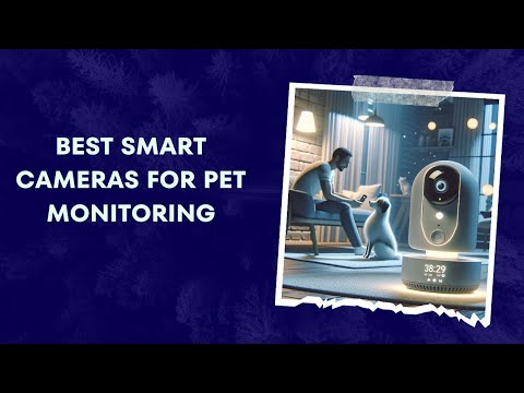 Best smart camera for pet montoring