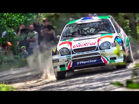 BEST OF RALLY 2020 | Pure Sound