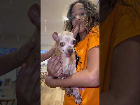 Daughter finds LOST dog then THIS HAPPENED‼️😮 #dlafam