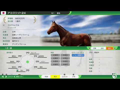 お金ないから競馬する