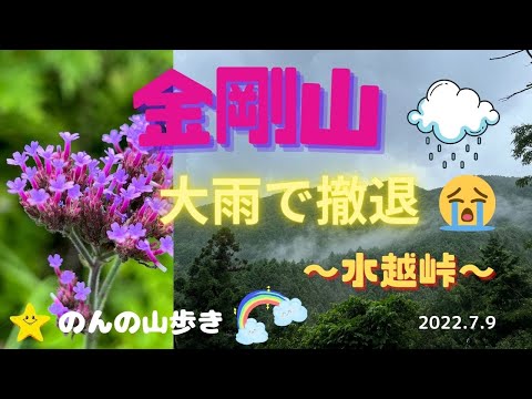 【雨の登山】金剛山で大雨！勇気ある撤退😀