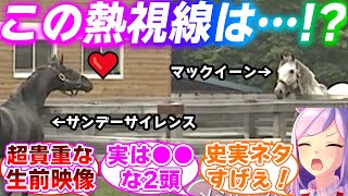 史実のメジロマックイーン、特番でサンデーサイレンスとの貴重な映像と秘話が提供されるに対するみんなの反応集【ウマ娘プリティーダービー】