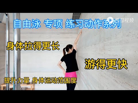 【自由泳7个专项动作练习，加强大脑与身体的联系，游得更快！】｜Aimee游泳学堂