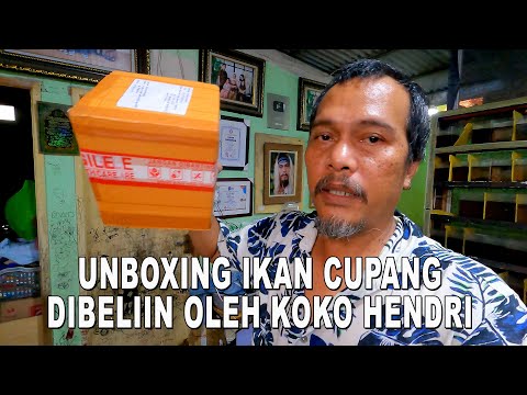 UNBOXING IKAN CUPANG DI BELIIN KOKO HENDRI