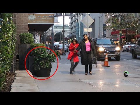 Funny Bushman Prank Compilation 2020!!