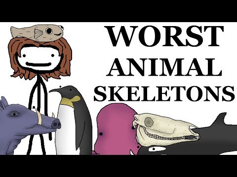 Top 10 Worst Animal Skeletons