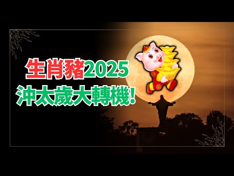 生肖豬，2025年運勢想不到！你居然有如此驚人的變化！命運轉折點出乎意料！不可不看！ #2024年屬豬運程 #2024生肖豬運勢 #2024属豬运势 #2024属豬运程