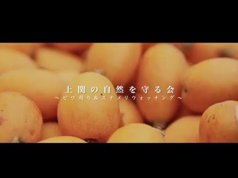 【上関町】ビワ刈り&スナメリウォッチング